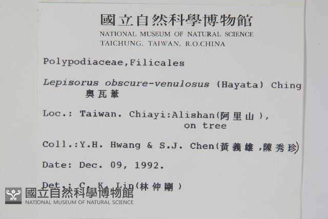 粵瓦葦藏品圖，第2張