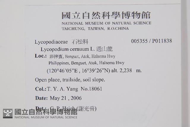 過山龍藏品圖，第2張