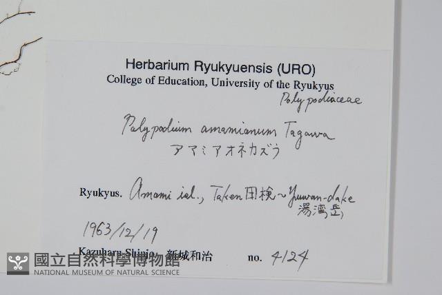 登錄號:P005838藏品圖，第2張