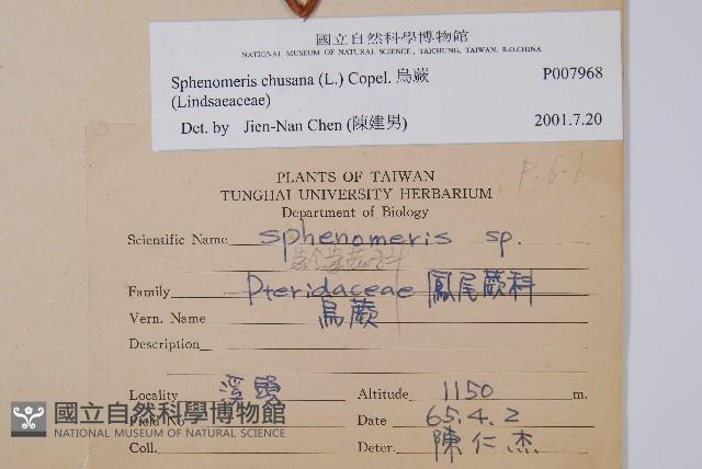 烏蕨藏品圖，第2張