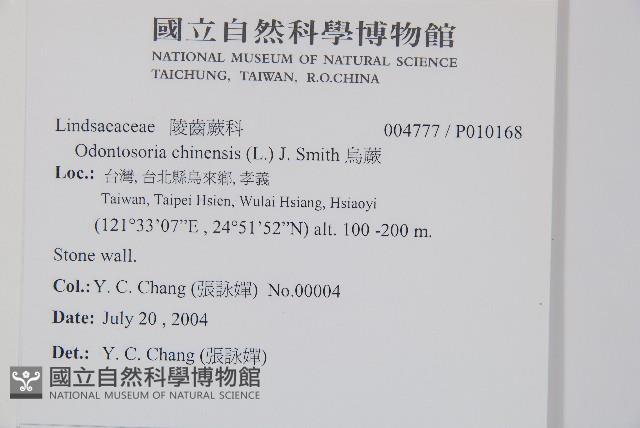 烏蕨藏品圖，第2張