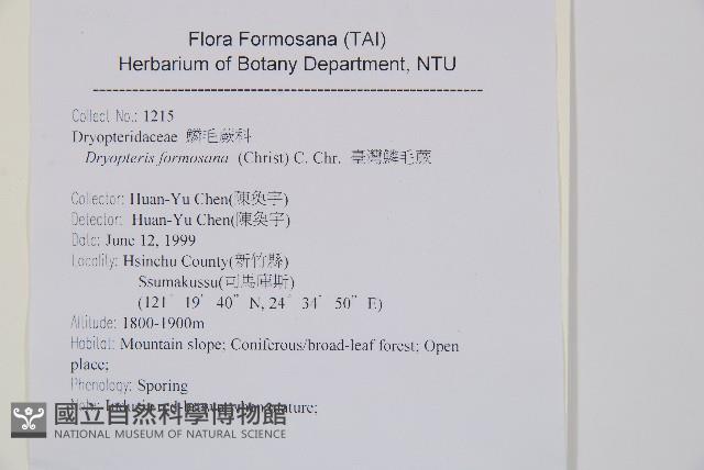 臺灣鱗毛蕨藏品圖，第2張