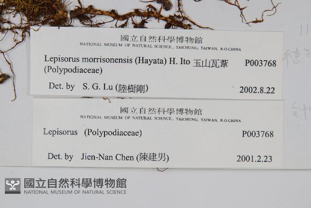 玉山瓦葦藏品圖，第2張