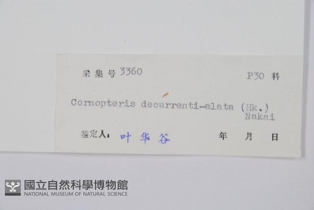 貞蕨藏品圖，第2張