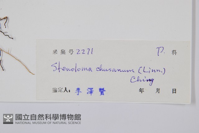 烏蕨藏品圖，第2張