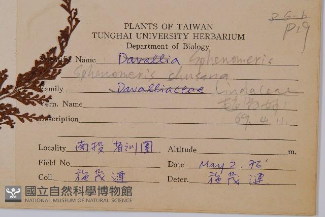 烏蕨藏品圖，第2張