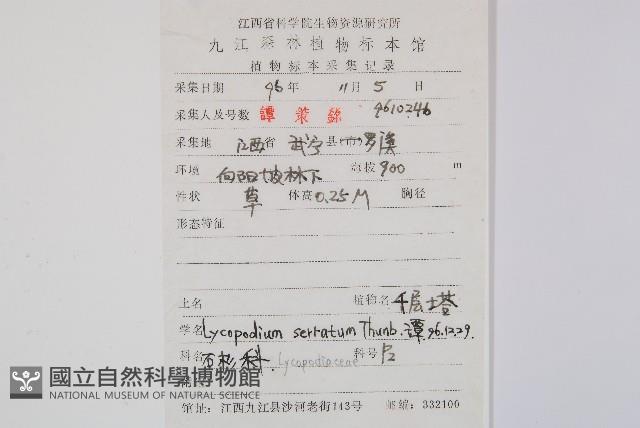 千層塔藏品圖，第2張