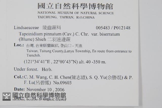 二羽達邊蕨藏品圖，第2張