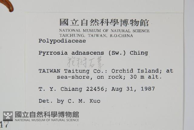 Accession Number:P000748 Collection Image, Figure 2, Total 2 Figures