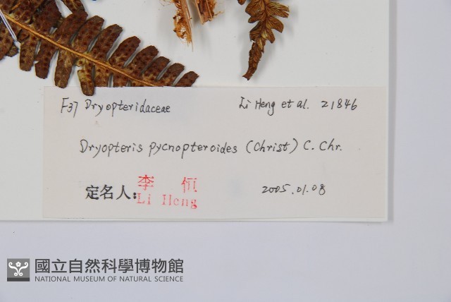登錄號:P010748藏品圖，第2張