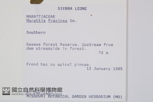 登錄號:P010048藏品圖，第2張