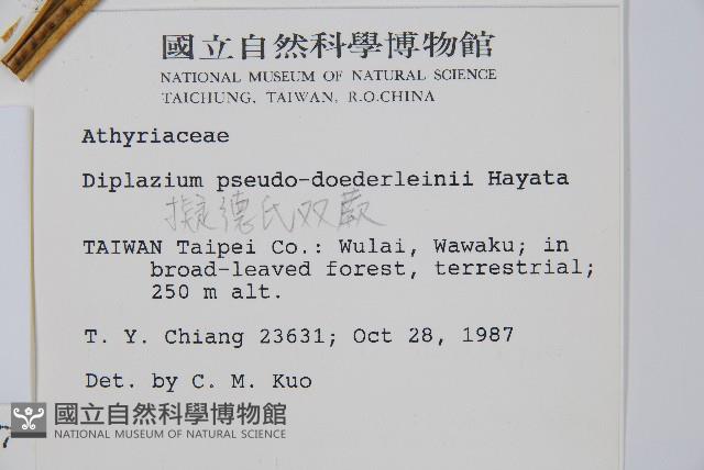 Accession Number:P000348 Collection Image, Figure 2, Total 5 Figures