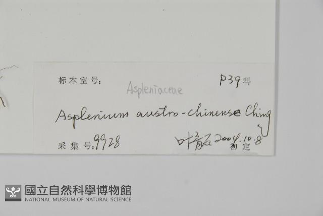 登錄號:P010348藏品圖，第2張