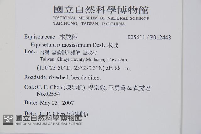 木賊藏品圖，第2張