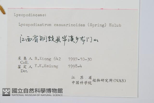 藤石松藏品圖，第2張