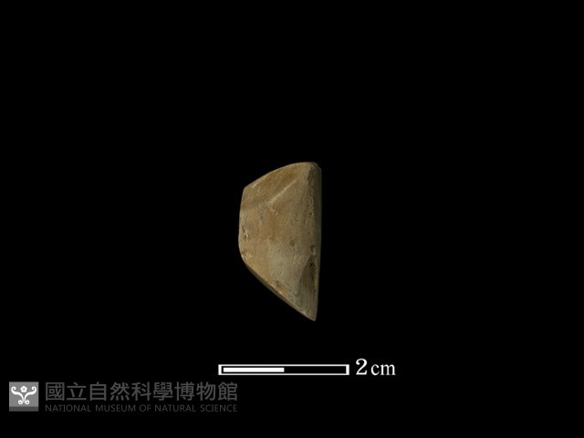 錛鑿形器藏品圖，第1張