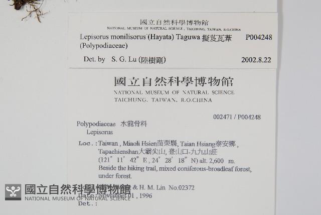 擬芨瓦葦藏品圖，第2張