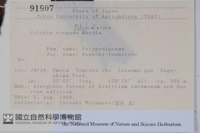 登錄號:P012778藏品圖，第2張