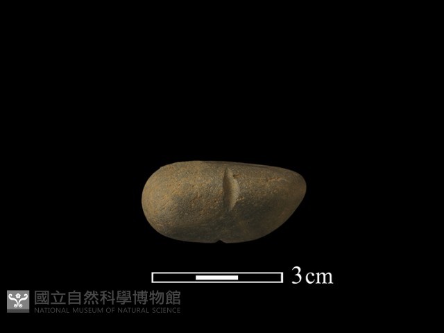 網墜藏品圖，第2張