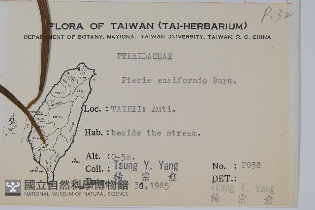 Sword brake Collection Image, Figure 2, Total 2 Figures
