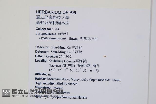 相馬氏石松藏品圖，第2張