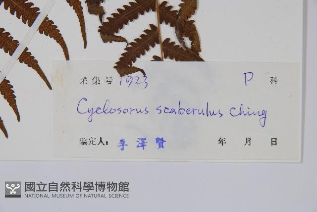 登錄號:P004478藏品圖，第2張