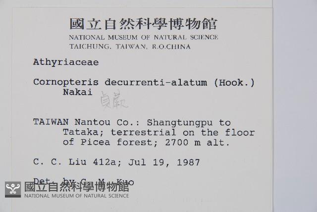 貞蕨藏品圖，第2張