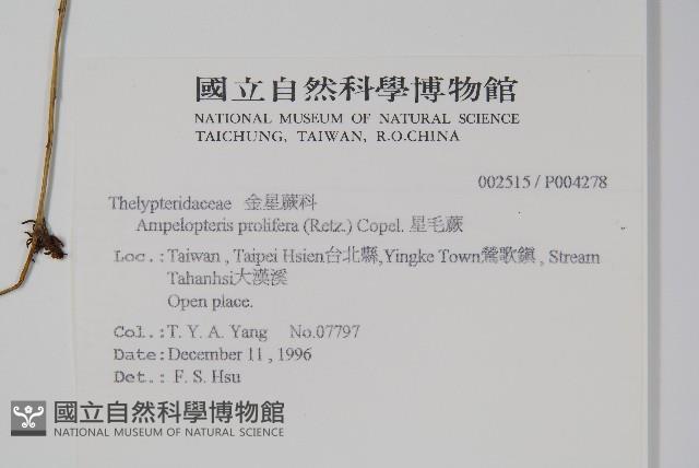 Accession Number:P004278 Collection Image, Figure 2, Total 2 Figures