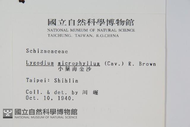 Accession Number:P001188 Collection Image, Figure 2, Total 2 Figures