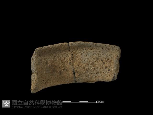 陶片藏品圖，第1張