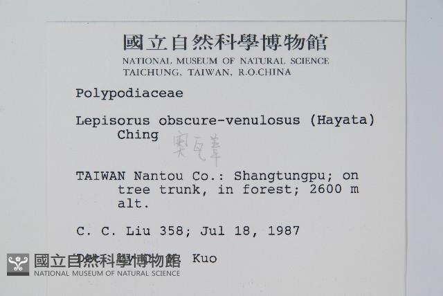 粵瓦葦藏品圖，第2張