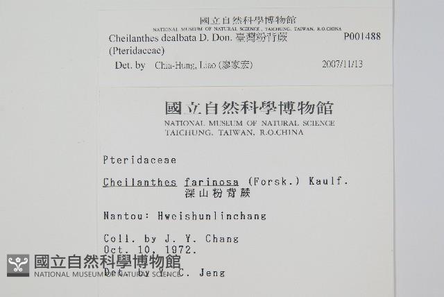 Accession Number:P001488 Collection Image, Figure 2, Total 2 Figures