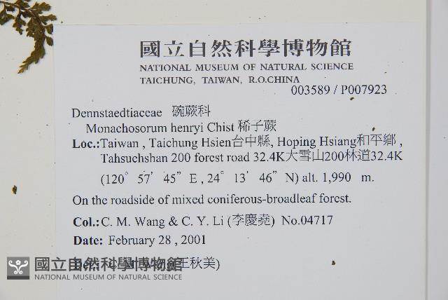 稀子蕨藏品圖，第2張