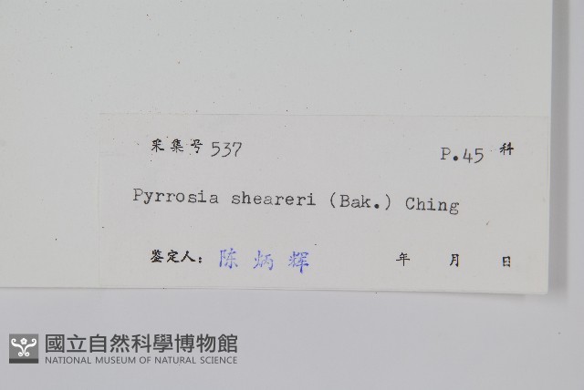 盧山石葦藏品圖，第2張