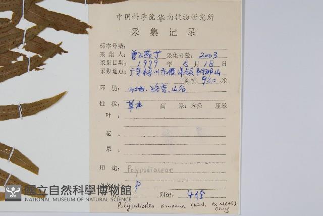 友水龍骨藏品圖，第2張