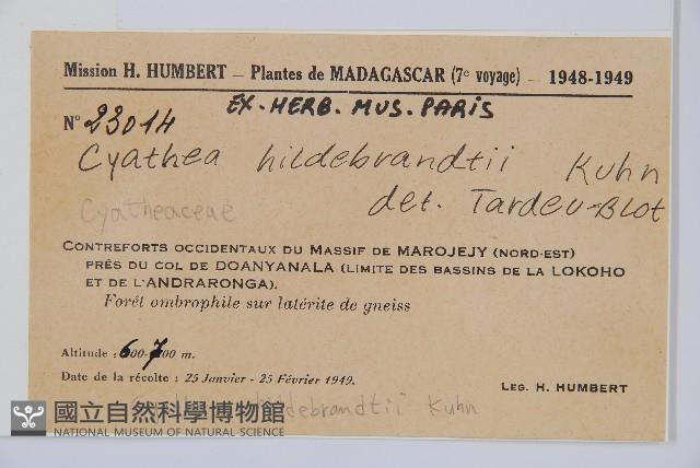 登錄號:P010023藏品圖，第5張