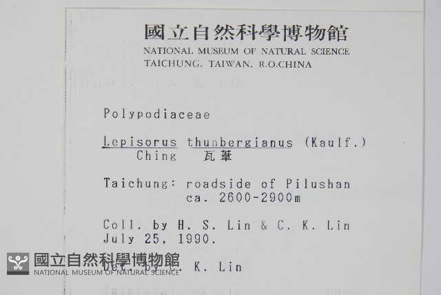 瓦葦藏品圖，第2張