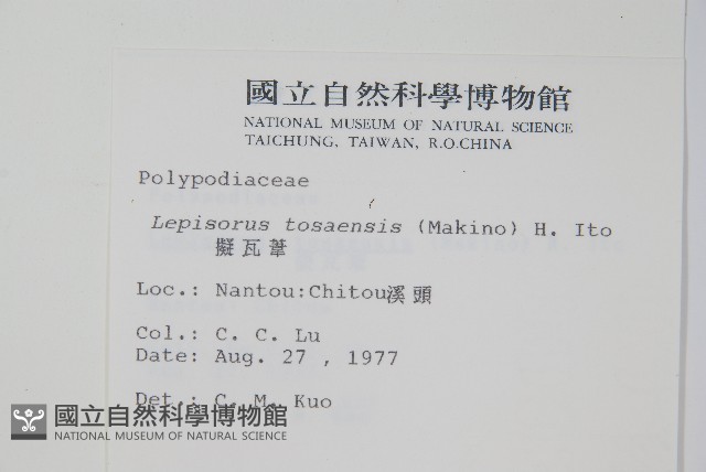 擬瓦葦藏品圖，第2張