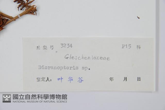 登錄號:P005423藏品圖，第2張