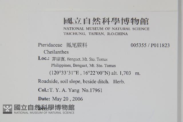 登錄號:P011823藏品圖，第2張