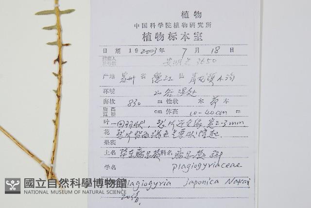 登錄號:P010223藏品圖，第2張