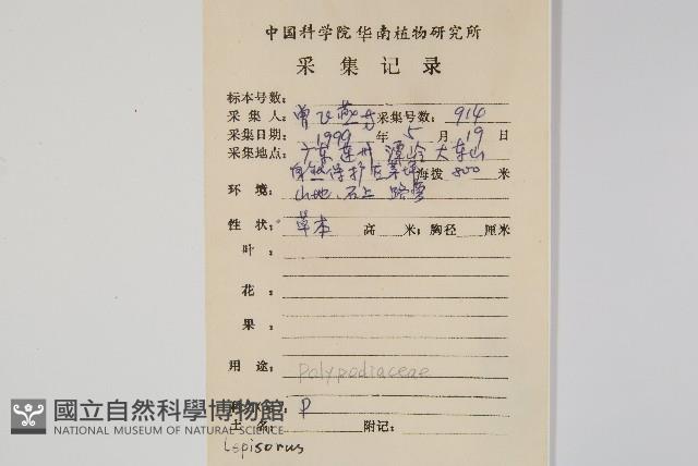 登錄號:P008603藏品圖，第2張