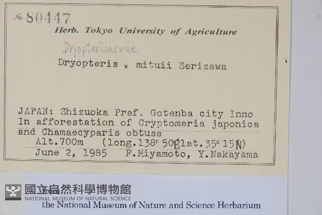 登錄號:P012703藏品圖，第2張