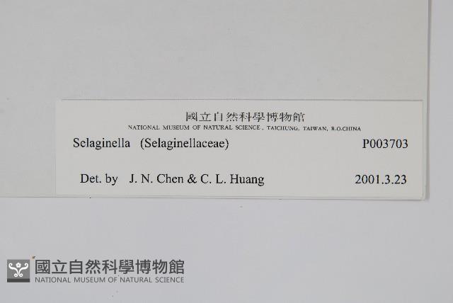 登錄號:P003703藏品圖，第2張