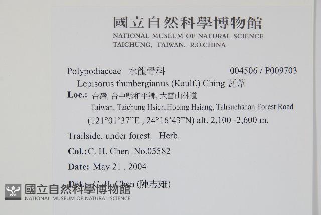 瓦葦藏品圖，第2張