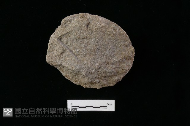 石片器藏品圖，第2張