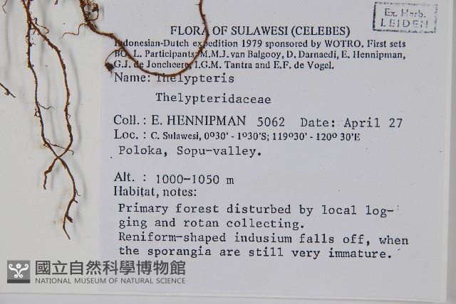 登錄號:P005603藏品圖，第2張