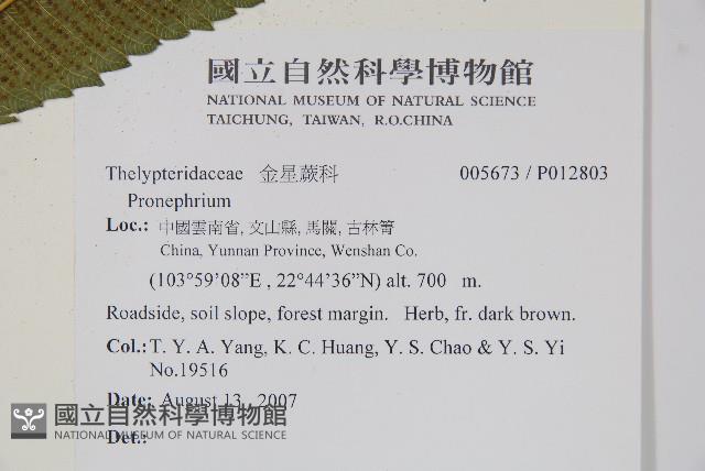 登錄號:P012803藏品圖，第2張