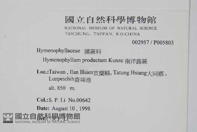 蕗蕨藏品圖，第2張