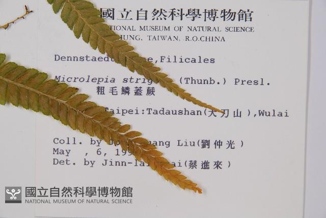 Accession Number:P002203 Collection Image, Figure 2, Total 5 Figures